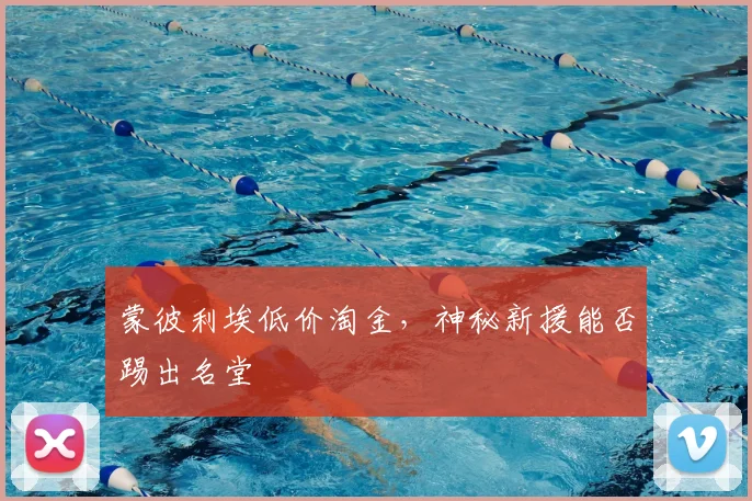 蒙彼利埃低价淘金，神秘新援能否踢出名堂